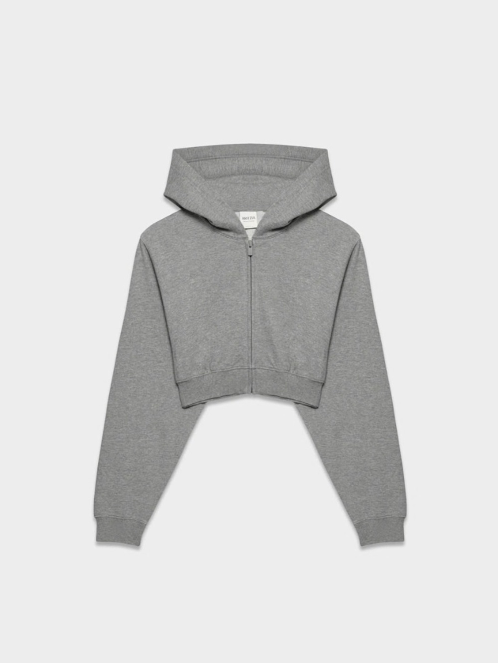 Aritzia Terry Sweatfleece Perfect Crop Zip Hoodie